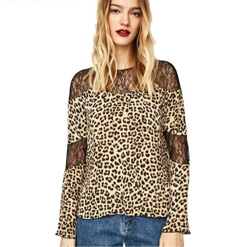 Zara Leopard Animal‎ Print Mesh Lace Long Sleeve Top